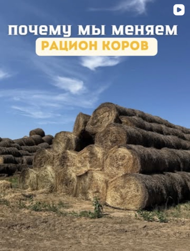 Пост из Instagram @ktk.ferma — Почему мы меняем рацион коров